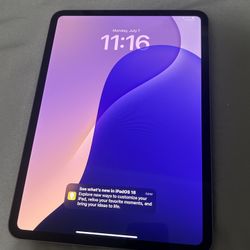 iPad Pro - M4 256GB 11inch 