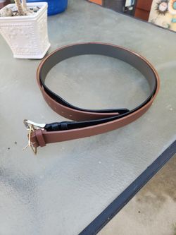 Brown And Black Belts 