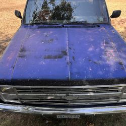 C10 Hood
