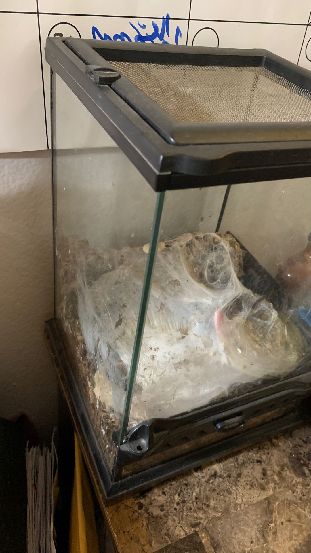 Exo Terra Tarantula Terrariums for Sale in Los Angeles, CA OfferUp