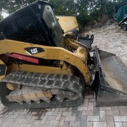 bobcat