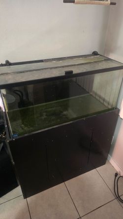 40 gallon fish tank