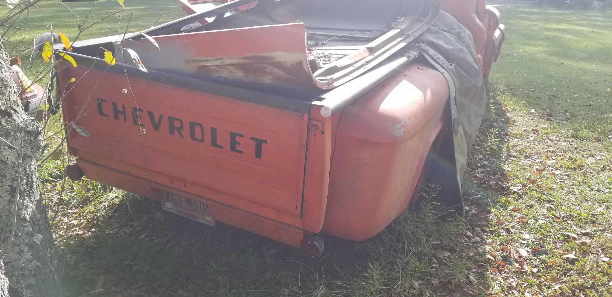 1965 chevy C10 Parting Out