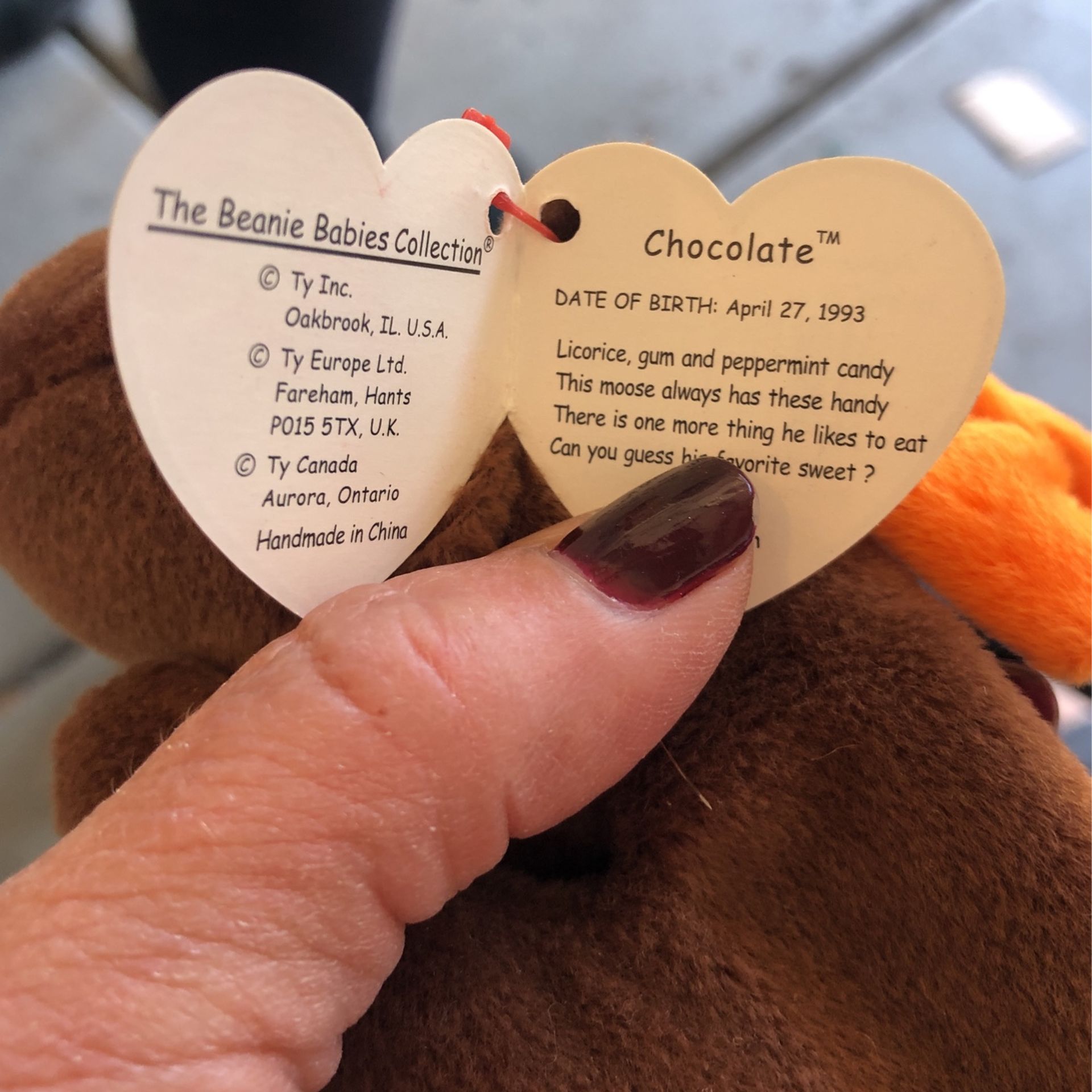 TY Beanie Baby Moose chocolate