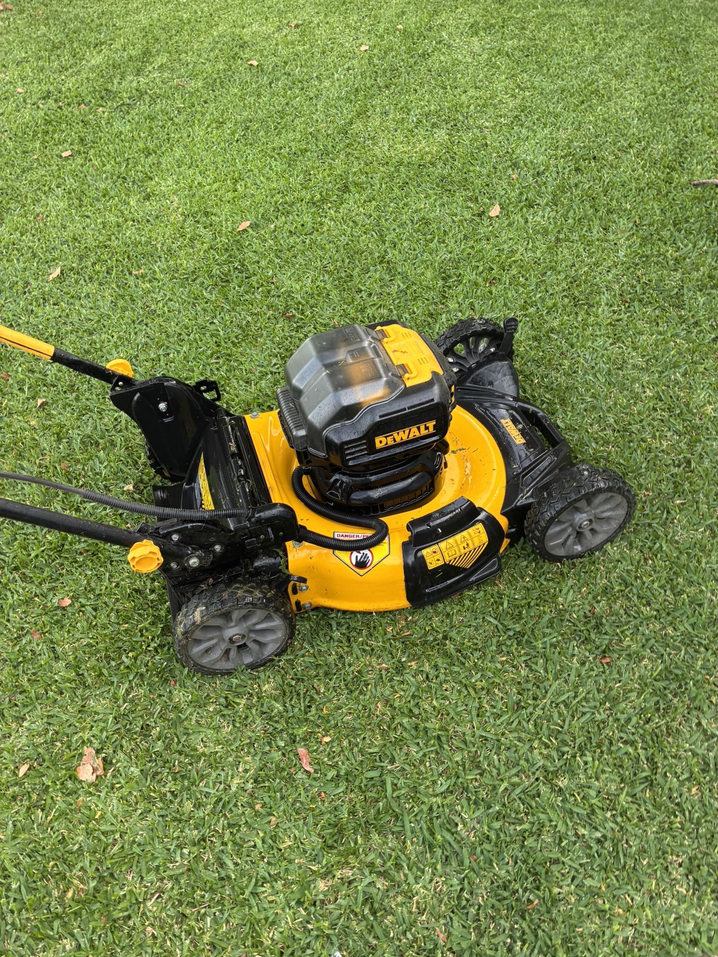 dewalt