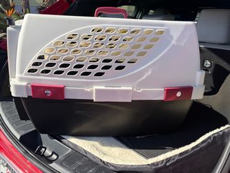 Pet crate for large cat medium dog