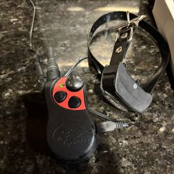 Dog Training Collar - SIT MEANS SIT