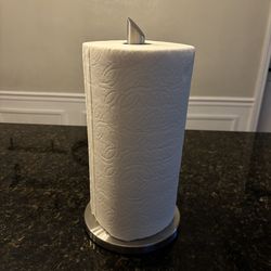 Paper Towel Holder Brushed Silver