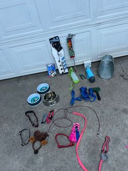Dogs stuff $35 for all