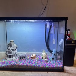 35 Gallon Fishtank With Filter And Decorations!