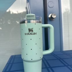 Stainless steel Stanley cup