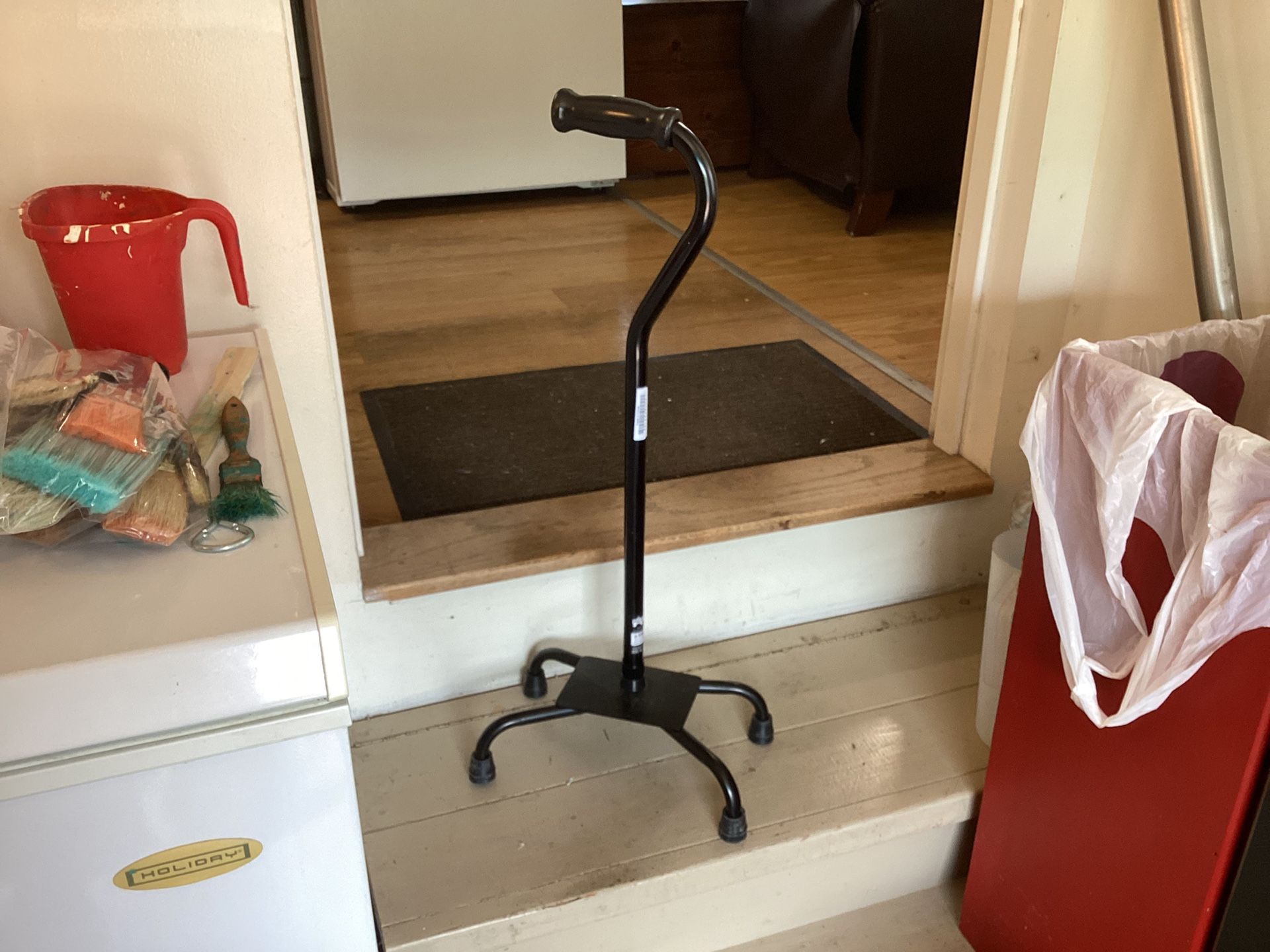 Cane Adjustable ((new )) $25