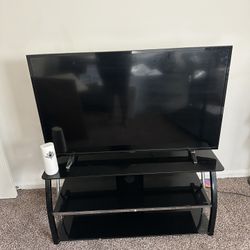 50 in. Insignia TV (Standard) & 44 in. Entertainment Center