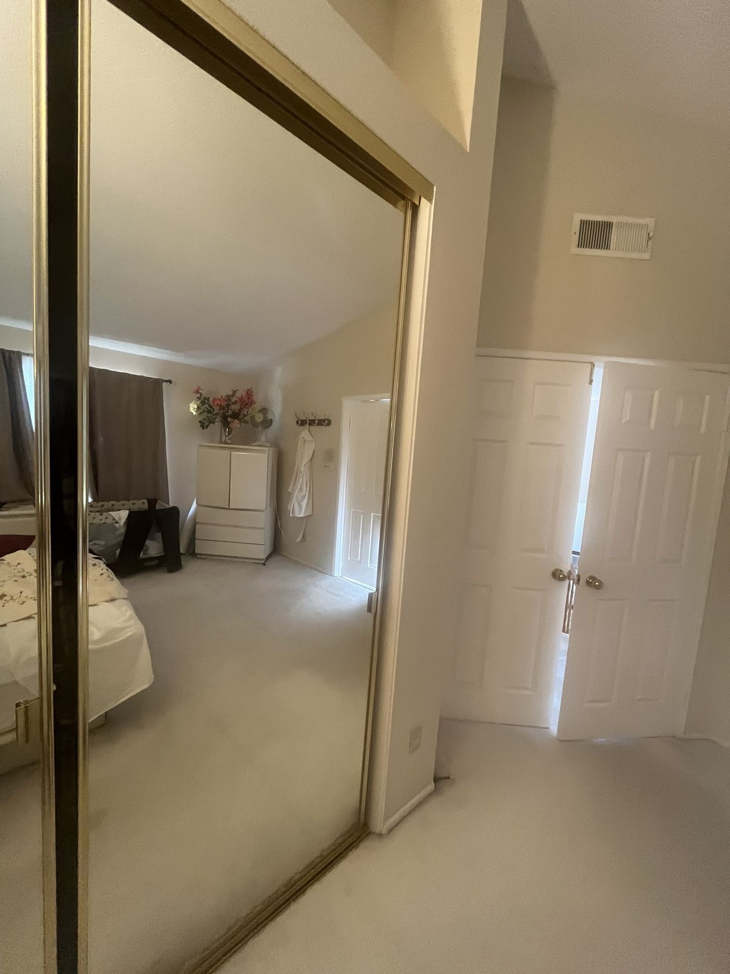 Looking For Sliding Mirrored Door