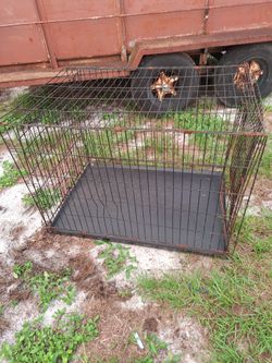 Dog Cage