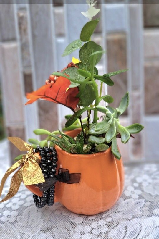 See ALL PICS MANY PLANTS AND PLANT ARRANGEMENTS