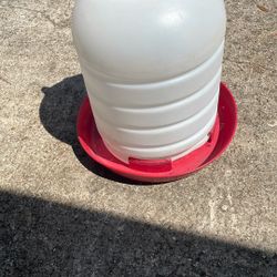 Chicken 🐔 Watered