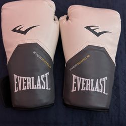 12 Oz Everlast Boxing Gloves