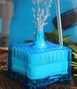 Bubble Air Fish Tank