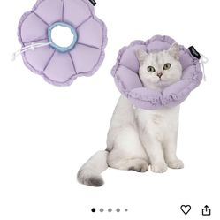 hi dream soft cat cone ,adjustable cat recovery collar new