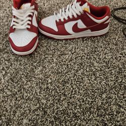 Red dunks size 9