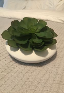 Large faux succulent decor