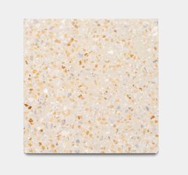 Zia Terrazzo Tile - 12x12 - Two boxes