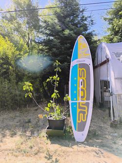 Paddle Board Hard Shell Used