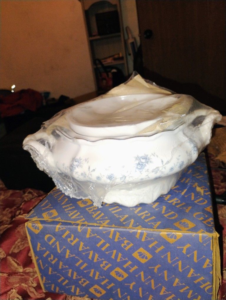 Johann Haviland china