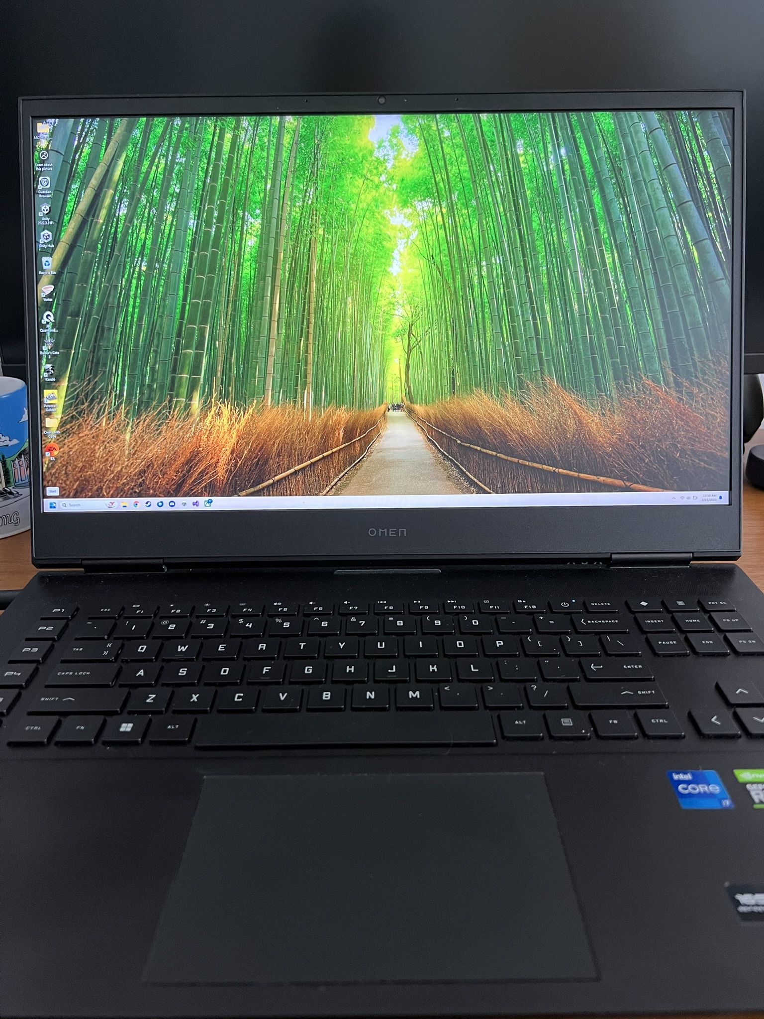 HP Omen Gaming Laptop