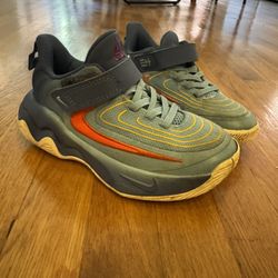 12c Nike shoes -giannis antetokounmpo shoes