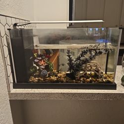 Fluval 5 Gallon Fish Tank