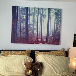 Wall Art Canvas