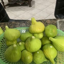 Organic Fresh Fig For Sale