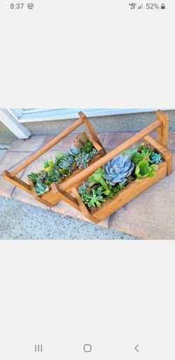 Succulents Arrangement