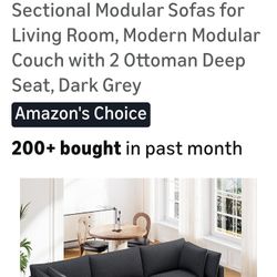 Sectional Couch 