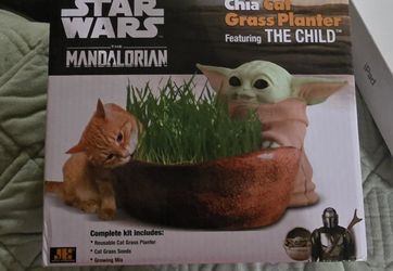 Chia Cat Grass  Planter Baby YODA Edition