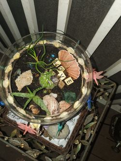 Terrarium