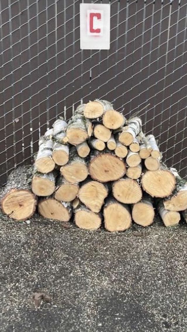 Piles Of Fresh Cut Wood