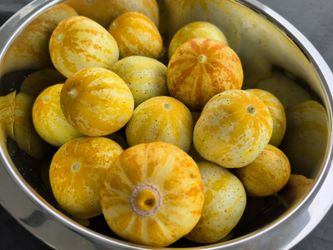 Heirloom Lemon Cucumbers
