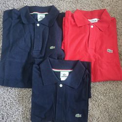 Polos Nuevos
