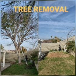 Stump Grinding Messge, Tree Messge