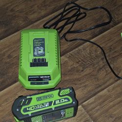 Green Works Charger & 40 Volt Battery.  Both For $50