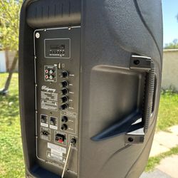 Portable Speaker With Mic & Stand 