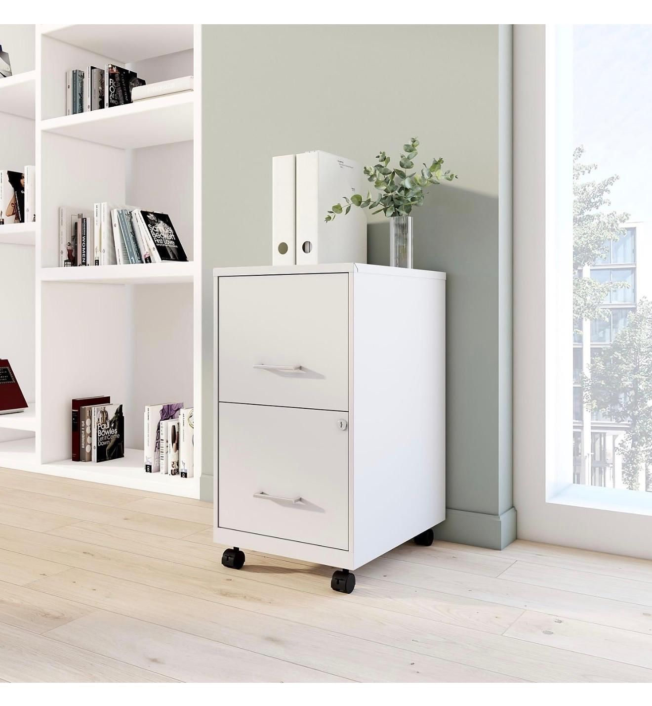 STAPLES 2-Drawer Vertical File Cabinet, Letter Size Documents, Lockable & Mobile, (EF20)