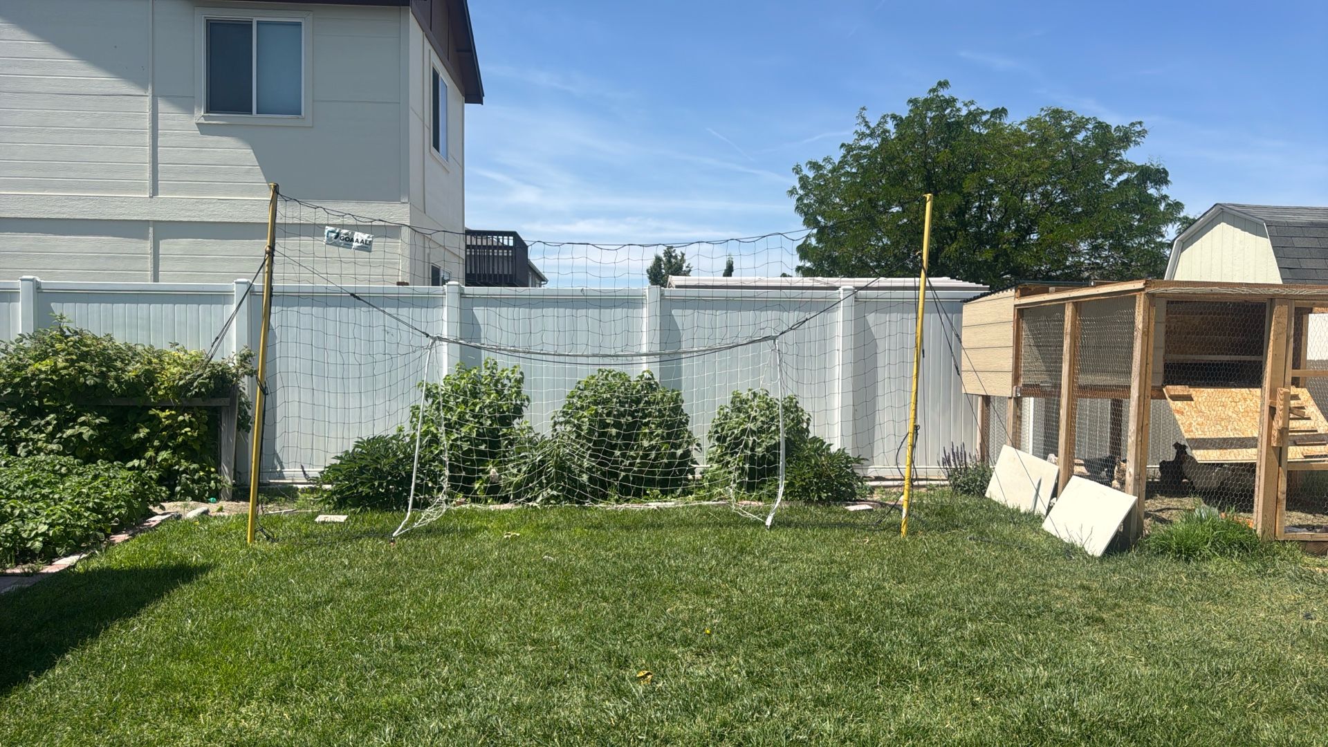 Soccer Goals