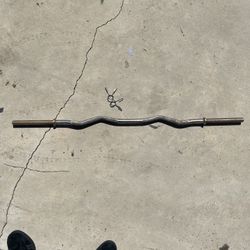 Curl Barbell