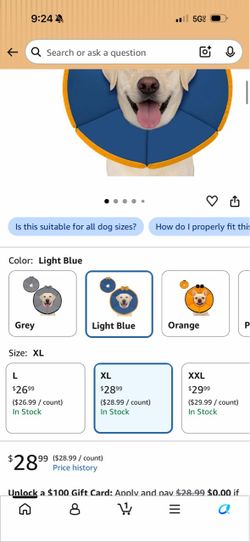 Dog cone