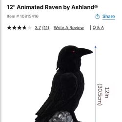 Raven