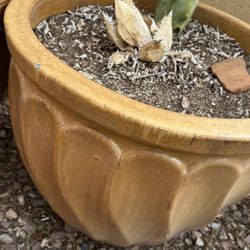 Beautiful Made In Vietnam Planter: Price Is For Each Pot